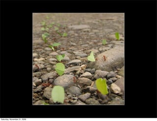 Saturday, November 21, 2009
 