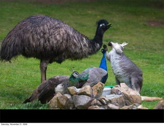 Saturday, November 21, 2009
 