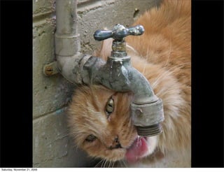 Saturday, November 21, 2009
 