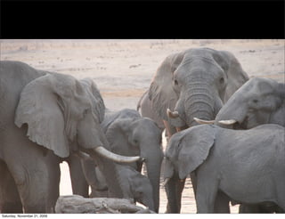 Saturday, November 21, 2009
 