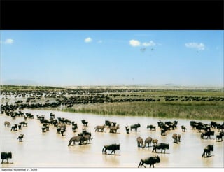 Saturday, November 21, 2009
 