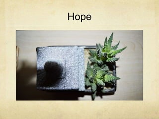 Hope
 