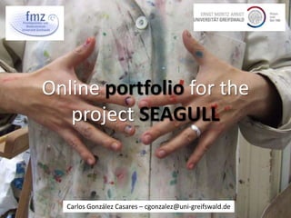 Online portfolio for the project SEAGULL Carlos González Casares – cgonzalez@uni-greifswald.de 
