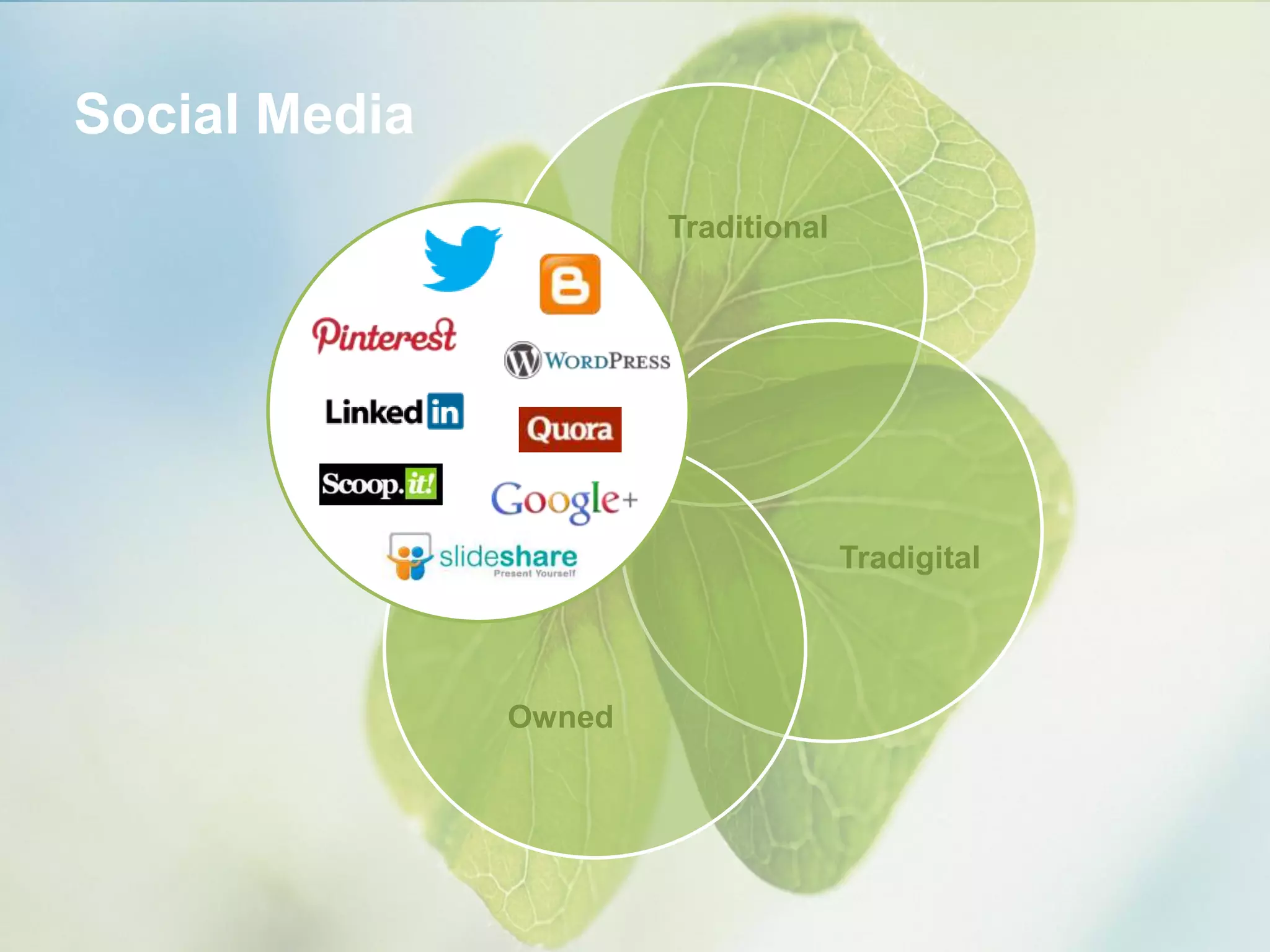 Traditional
Tradigital
Owned
Social Media
 