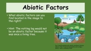 Abiotic Factors
• What abiotic factors can you
find located in the image to
the right?
• Hint: The rotting log would not
be an abiotic factor because it
was once a living tree.
Fig 1: Pond Ecosystem with Abiotic and Biotic Factors
(source: http://acamrmicheal.weebly.com/ecology---
abiotic--biotic-vocabulary.html)
 