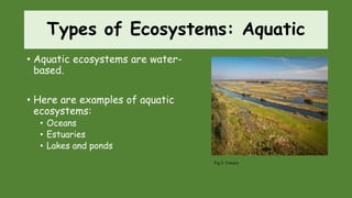 Types of Ecosystems: Aquatic
• Aquatic ecosystems are water-
based.
• Here are examples of aquatic
ecosystems:
• Oceans
• Estuaries
• Lakes and ponds
Fig 8: Estuary
 