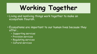Working Together
• Living and nonliving things work together to make an
ecosystem flourish.
• Ecosystems are important to our human lives because they
offer…
• Supporting services
• Provision services
• Regulating services
• Cultural services
 