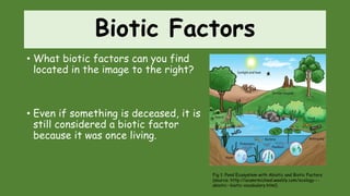 Biotic Factors
• What biotic factors can you find
located in the image to the right?
• Even if something is deceased, it is
still considered a biotic factor
because it was once living.
Fig 1: Pond Ecosystem with Abiotic and Biotic Factors
(source: http://acamrmicheal.weebly.com/ecology---
abiotic--biotic-vocabulary.html)
 