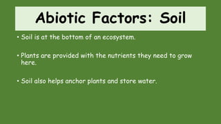 Abiotic Factors: Soil
• Soil is at the bottom of an ecosystem.
• Plants are provided with the nutrients they need to grow
here.
• Soil also helps anchor plants and store water.
 