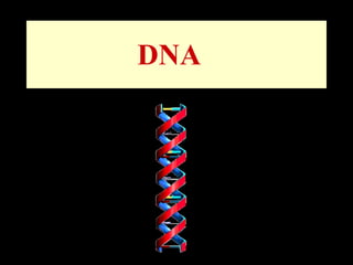 DNA  