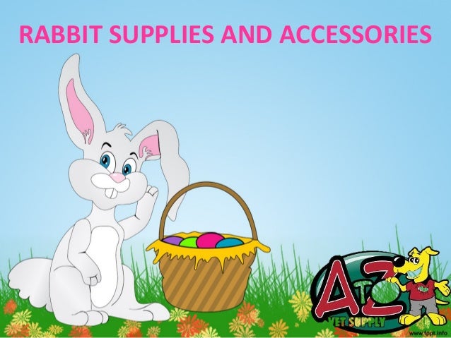 rabbit accessories online