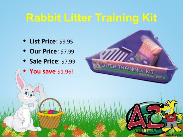 rabbit accessories online