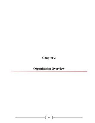 11
Chapter 2
Organization Overview
 