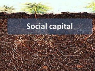 Social capital
 