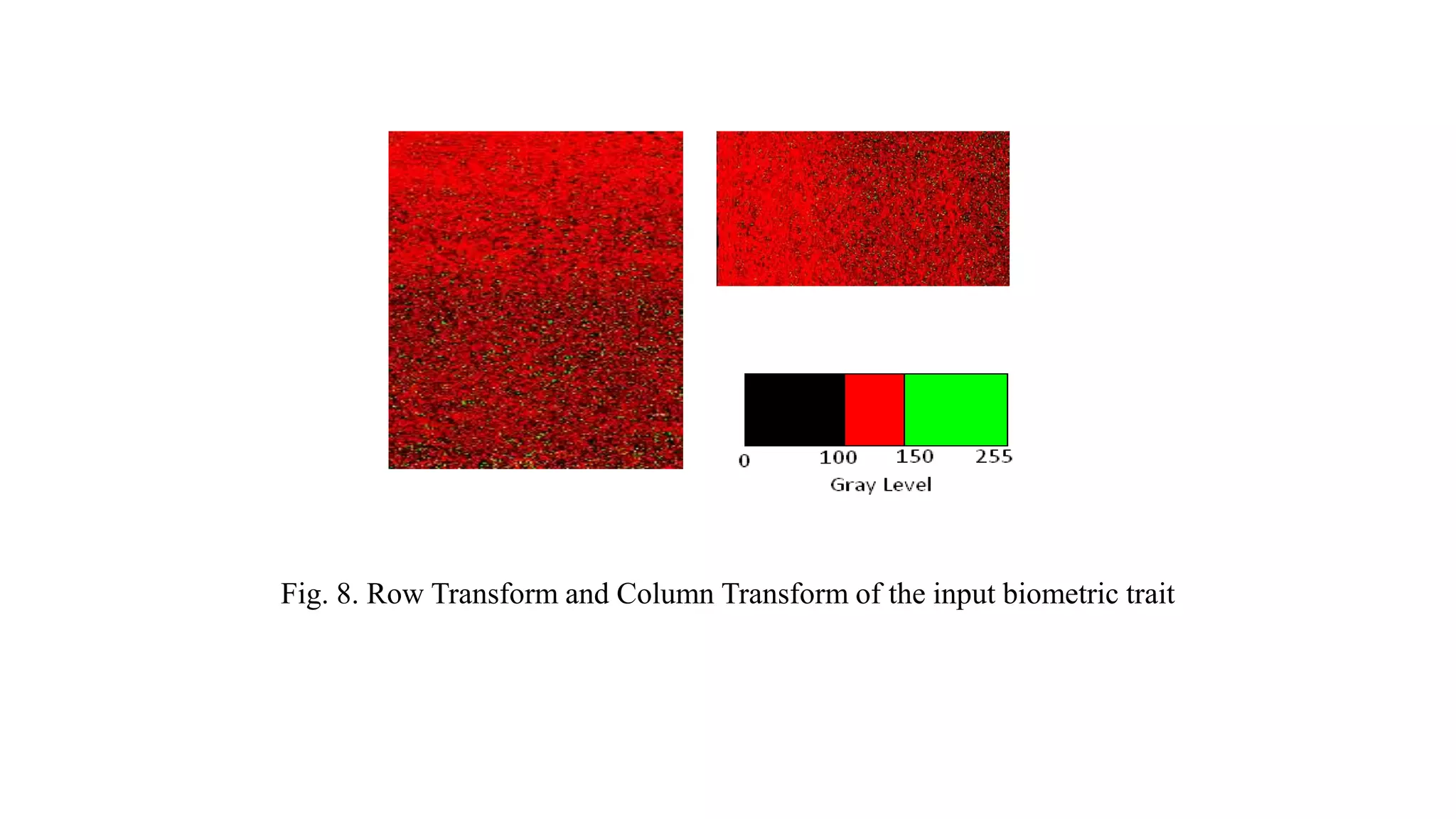 Fig. 8. Row Transform and Column Transform of the input biometric trait
 