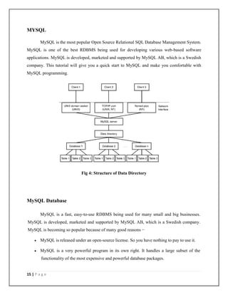 Online toll plaza booking system project report.doc.pdf