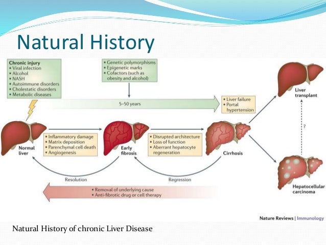Natural Treatment For Ut Natural Treatment For Ut