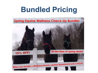 Bundled Pricing
 