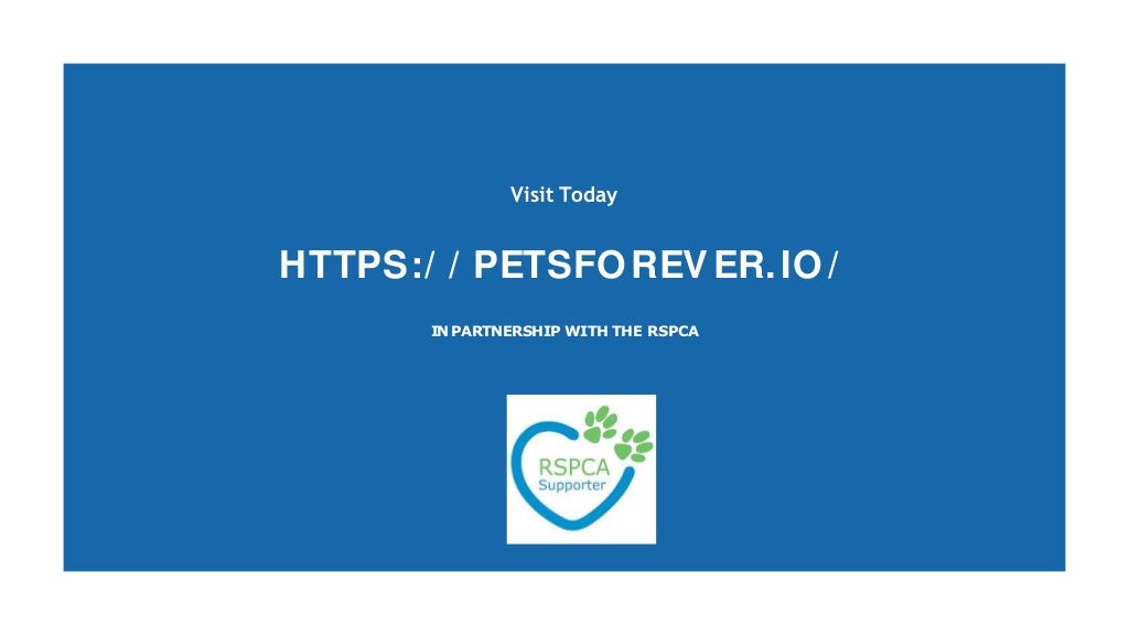 Australia's best online pet memorial website