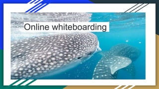 Online whiteboarding
 