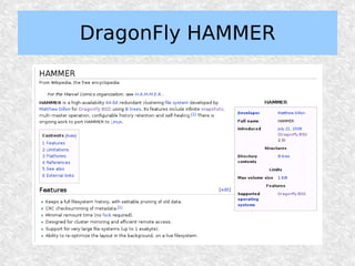 DragonFly HAMMER
 