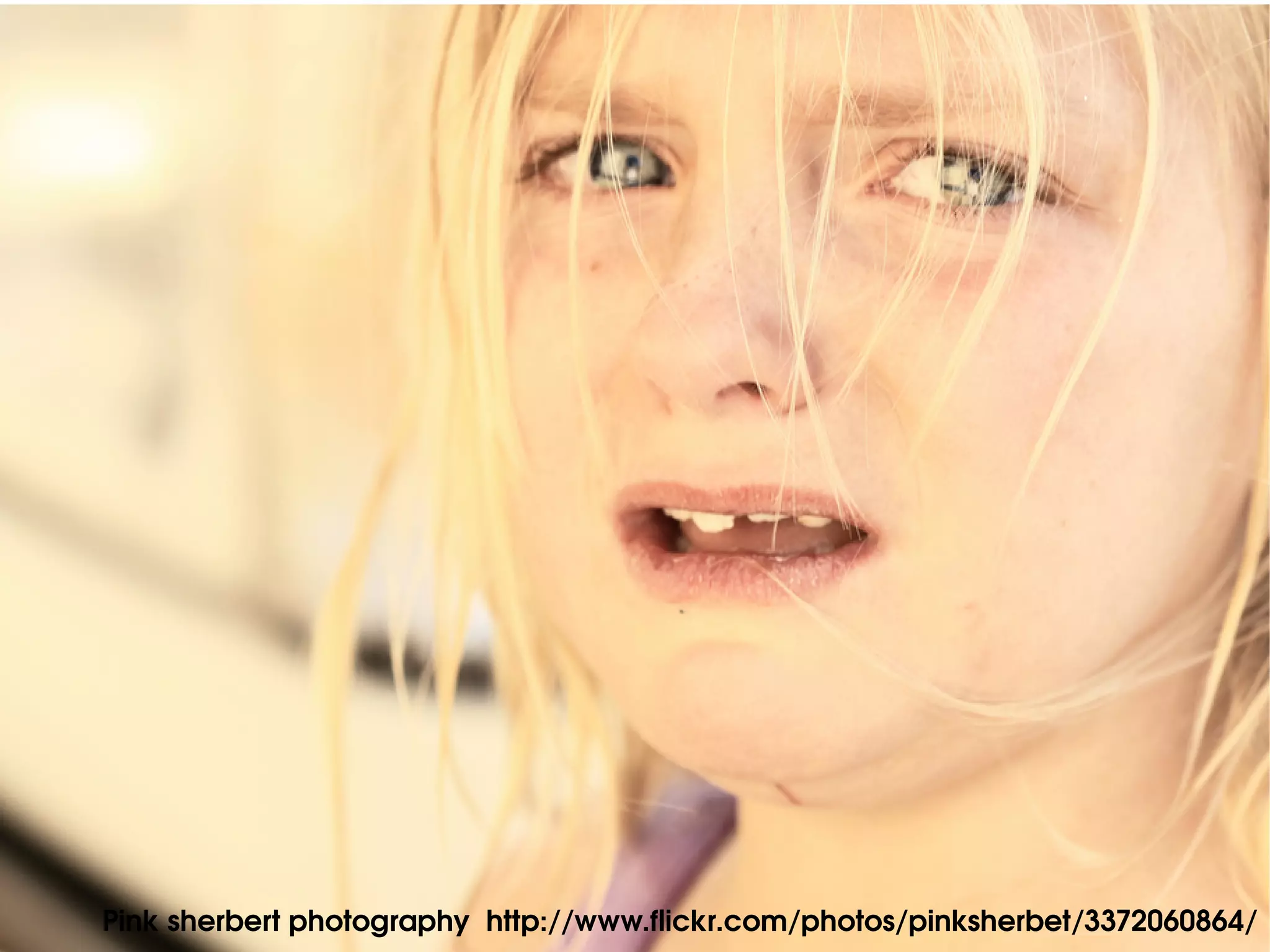 Pink sherbert photography  http://www.flickr.com/photos/pinksherbet/3372060864/
 