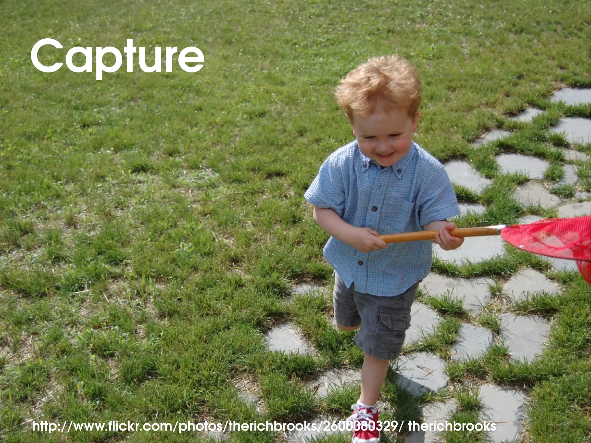 Capture




http://www.flickr.com/photos/therichbrooks/2600080329/ therichbrooks
 