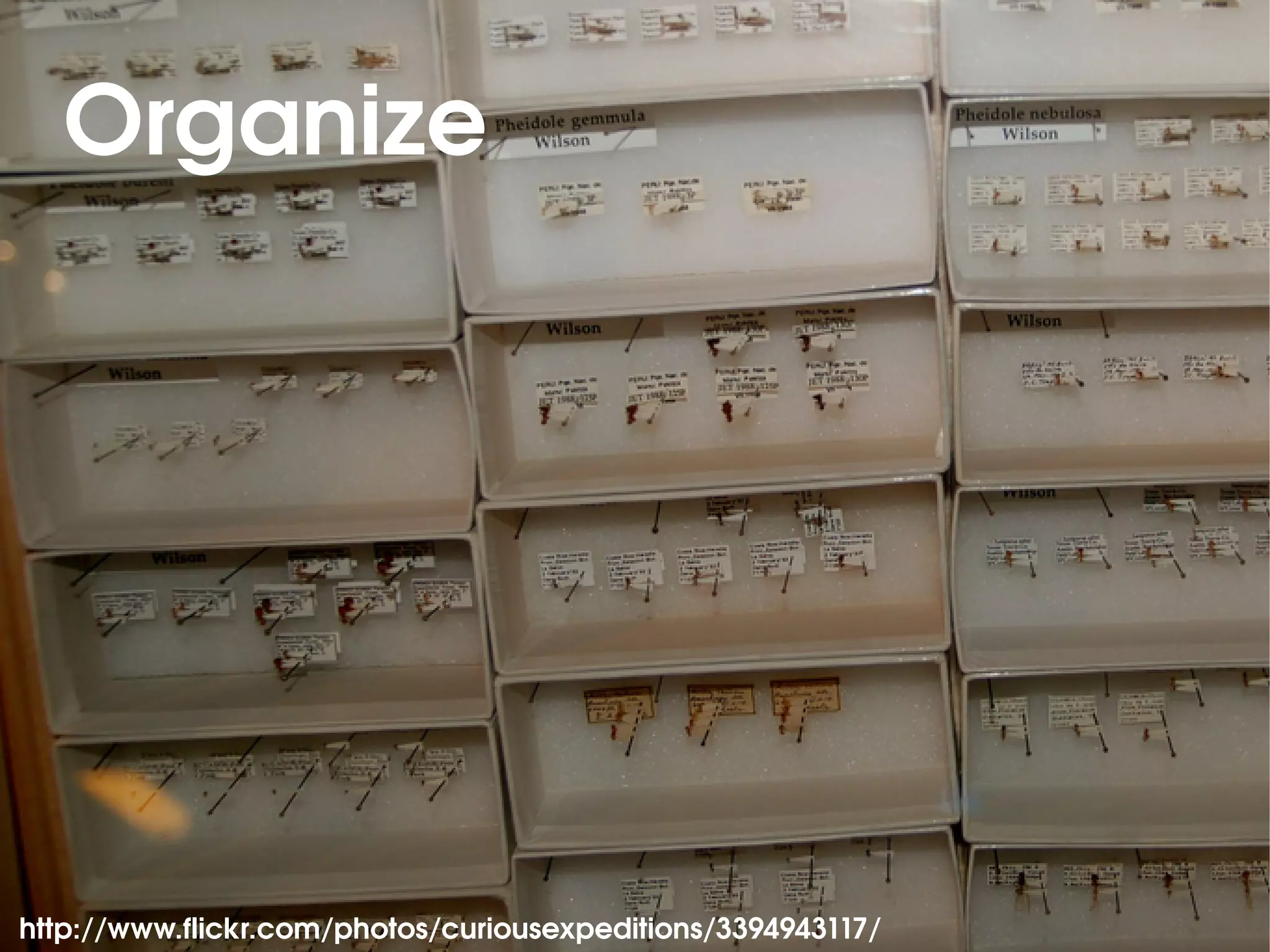 Organize




http://www.flickr.com/photos/curiousexpeditions/3394943117/
 