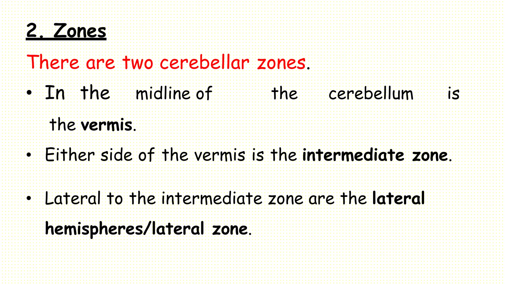 2. Zones
There are two cerebellar zones.
• In the midline of the cerebellum is
the vermis.
• Either side of the vermis is the intermediate zone.
• Lateral to the intermediate zone are the lateral
hemispheres/lateral zone.
 
