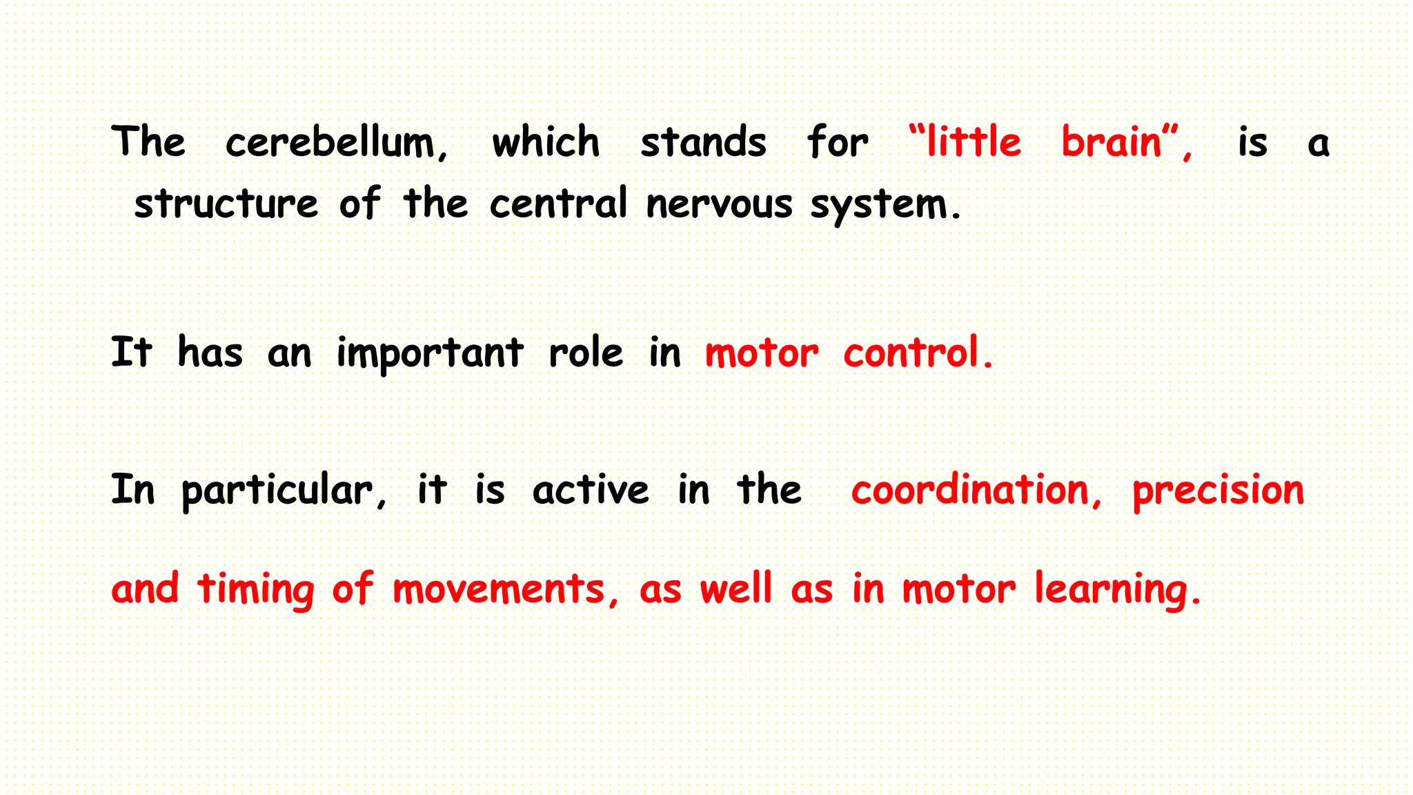 The cerebellum, which stands for “little brain”, is a
structure of the central nervous system.
It has an important role in motor control.
In particular, it is active in the coordination, precision
and timing of movements, as well as in motor learning.
 