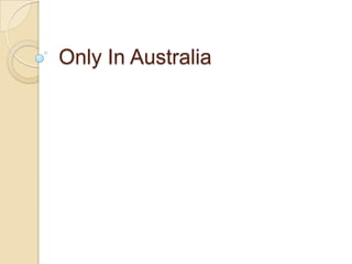 Only In Australia

 