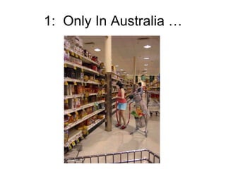 1:  Only In Australia … 