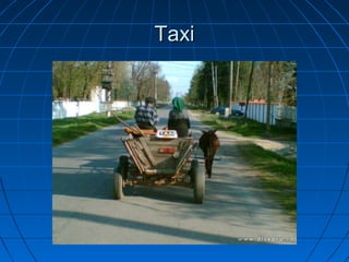 TaxiTaxi
 