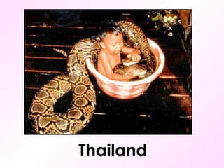 Thailand 