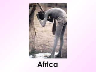 Africa 