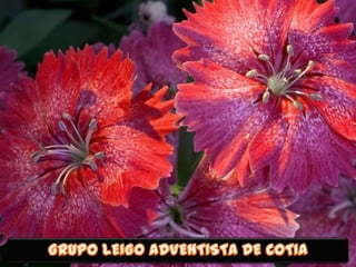 O número 11 e o ocultismo