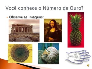 Observe as imagens:Você conhece o Número de Ouro?