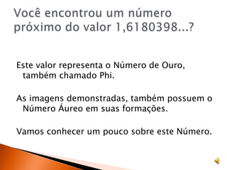 Este valor representa o Número de Ouro, também chamado Phi.As imagens demonstradas, também possuem o Número Áureo em suas formações.Vamos conhecer um pouco sobre este Número.Você encontrou um número próximo do valor 1,6180398...?