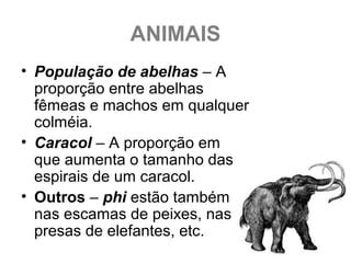 ANIMAIS
• População de abelhas – A
proporção entre abelhas
fêmeas e machos em qualquer
colméia.
• Caracol – A proporção em
que aumenta o tamanho das
espirais de um caracol.
• Outros – phi estão também
nas escamas de peixes, nas
presas de elefantes, etc.
 