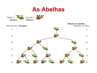As Abelhas
 