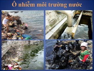Ô nhiễm môi trường