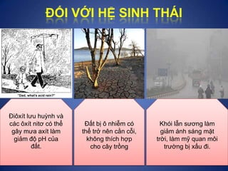 Điôxít lưu huỳnh và
các ôxít nitơ có thể
gây mưa axít làm
giảm độ pH của
đất.
Đất bị ô nhiễm có
thể trở nên cằn cỗi,
không...