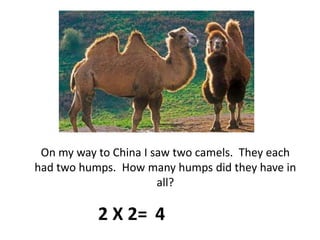 On my way to China I saw two camels.  They each had two humps.  How many humps did they have in all?2 X 2=4