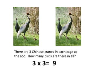 There are 3 Chinese cranes in each cage at the zoo.  How many birds are there in all?3 x 3=9