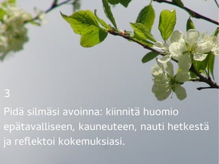 3 
Pidä silmäsi avoinna: kiinnitä huomio
epätavalliseen, kauneuteen, nauti hetkestä
ja reflektoi kokemuksiasi.
 