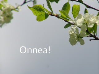 Onnea!
 