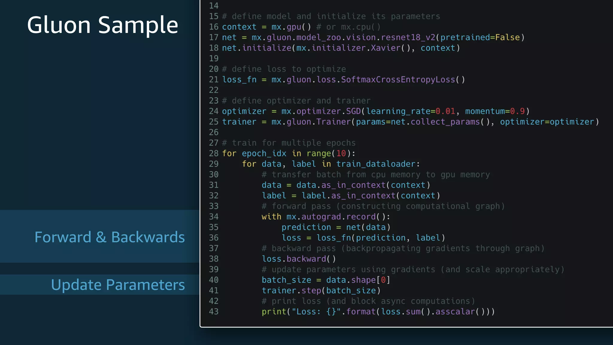 Forward & Backwards Update Parameters Gluon Sample 