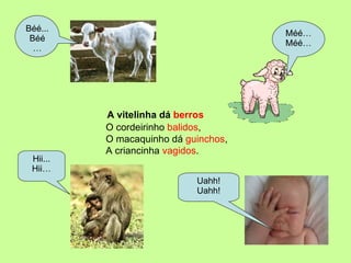 A vitelinha dá  berros Méé… Méé… Béé... Béé… Hii... Hii… Uahh! Uahh! A criancinha  vagidos . O cordeirinho  balidos , O macaquinho dá  guinchos , 