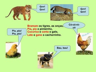 Bramam os tigres, as onças,
Grrr!
Grrr! Grrr!
Grrr!
Piu, piu!
Piu, piu!
Bau, bau!
Có-có-ró-
có
Late e gane o cachorrinho.
Pia, pia o pintainho,
Cucurica e canta o galo,
 
