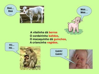 A vitelinha dá berros
Méé…
Méé…
Béé...
Béé
…
Hii...
Hii…
Uahh!
Uahh!
A criancinha vagidos.
O cordeirinho balidos,
O macaquinho dá guinchos,
 